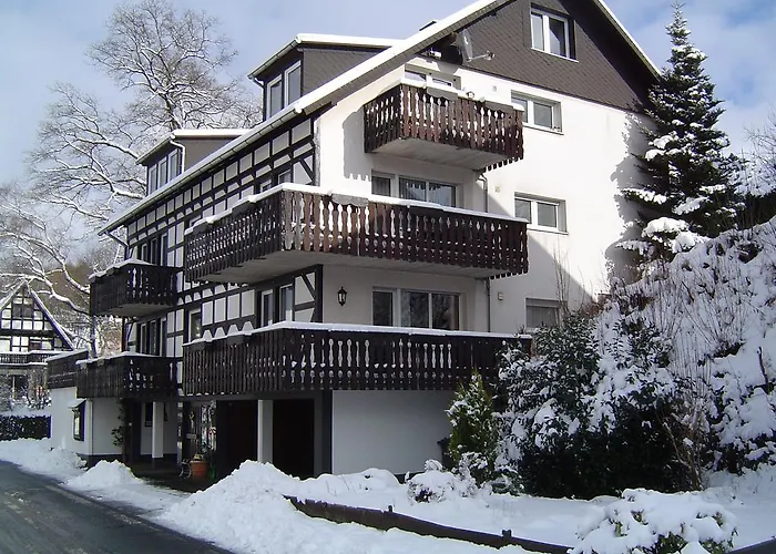 Nyaraló Hedrich Assinghausen